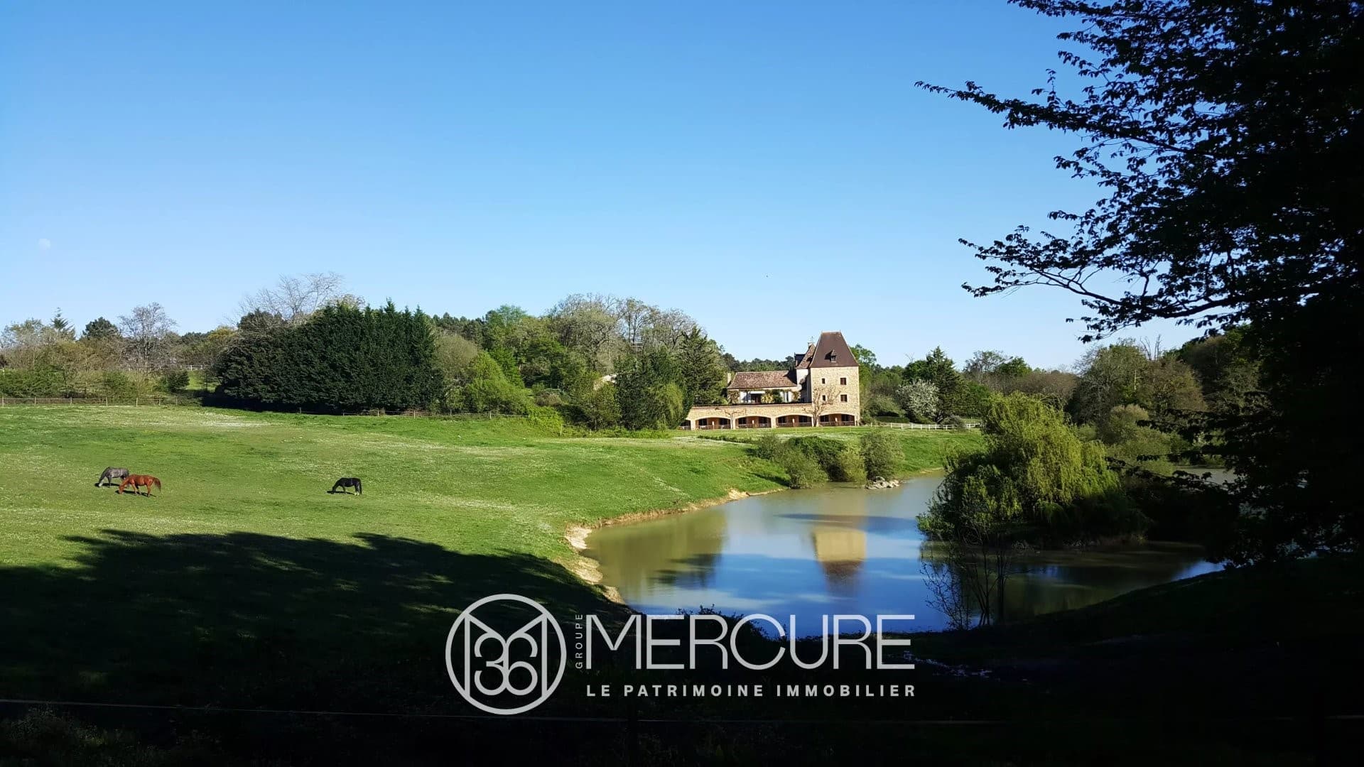 Exceptional Castle Complex with Equestrian Centre and Swimming Pools 4
