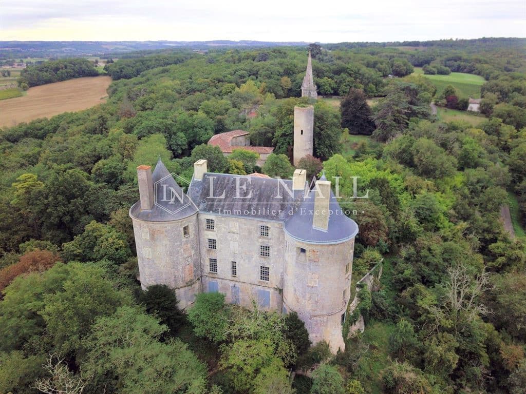 Historic Château with Medieval Silhouette and Expansive Grounds — Château for sale in Lot-et-Garonne, France