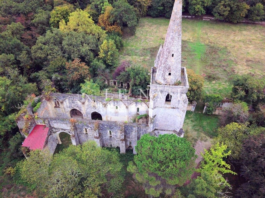 Historic Château with Medieval Silhouette and Expansive Grounds 5