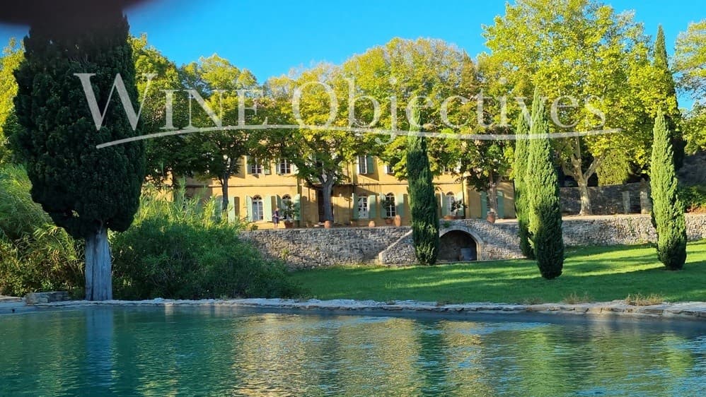 Spacious Castle with 5 Bedrooms and Terrace 4