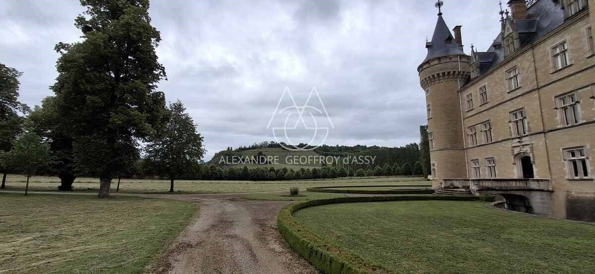 Impressive Castle with 24 Bedrooms and Swimming Pool 2