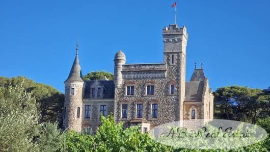 Authentic 19th Century Château With 4.5ha Park And 10 Bedrooms — Château for sale in Occitanie, France