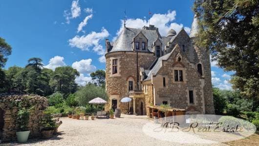 Authentic 19th Century Château With 4.5ha Park And 10 Bedrooms 2