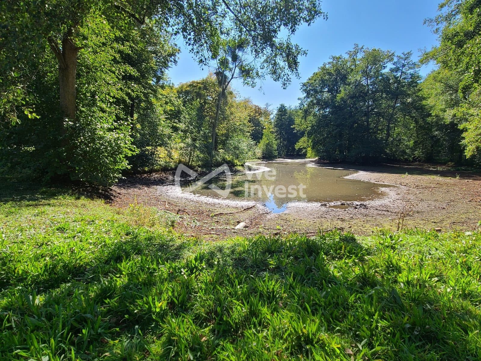 Impressive 18th Century Castle With 36 Bedrooms And Swimming Pool 5