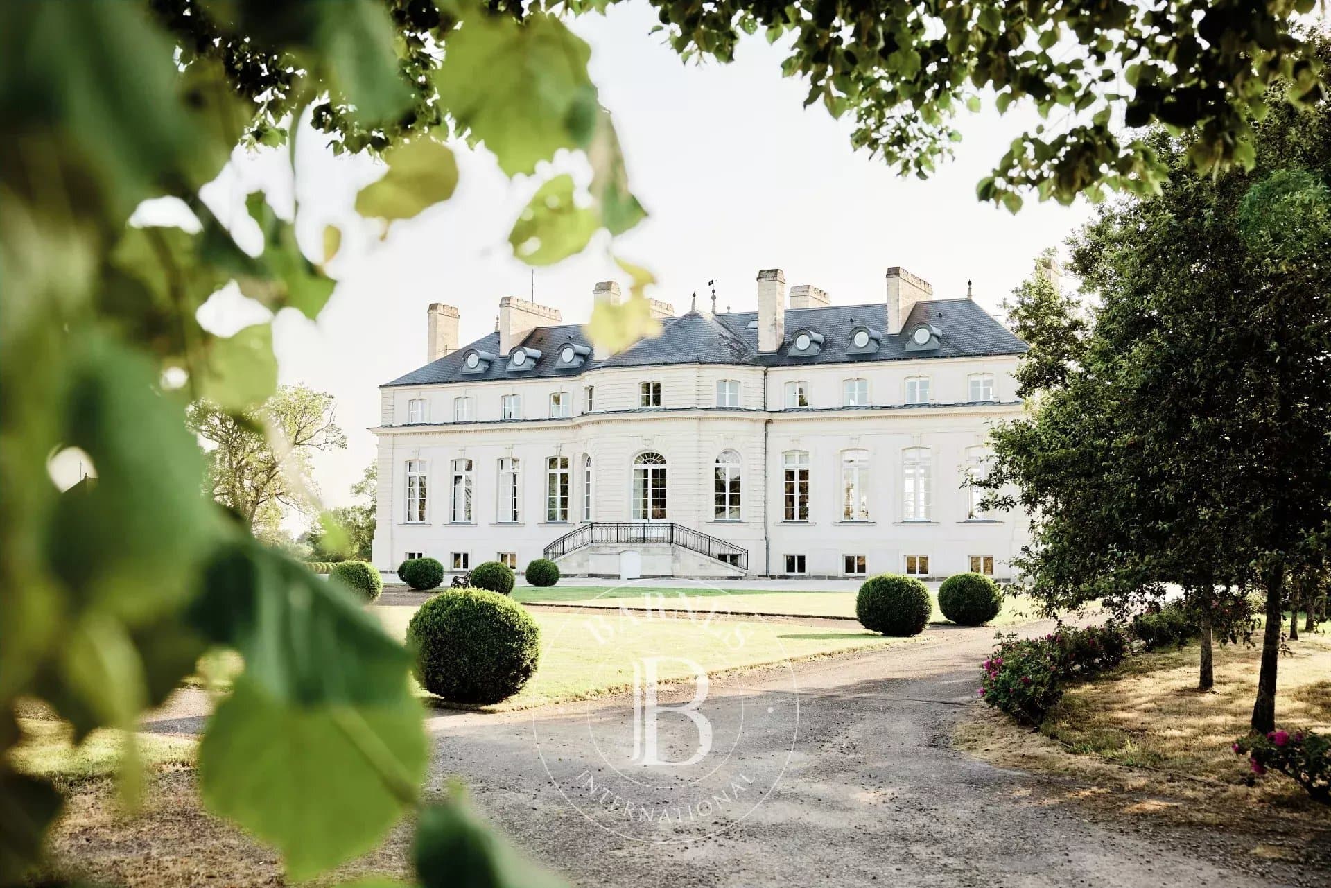 Renovated 18th Century Château With Equestrian Facilities On 128 Hectares 2