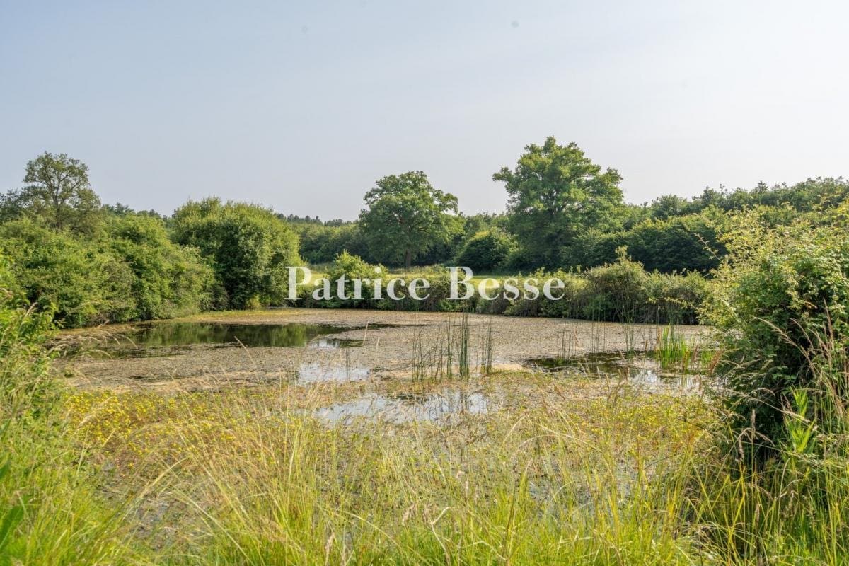 Late 19th Century Château Surrounded By 140 Hectares Of Grounds 4