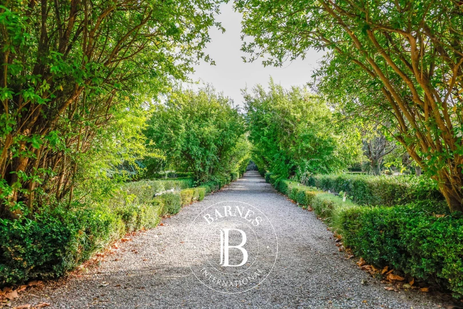 Strategic Château Near Carcassonne With 3500 Sqm Usable Space 5
