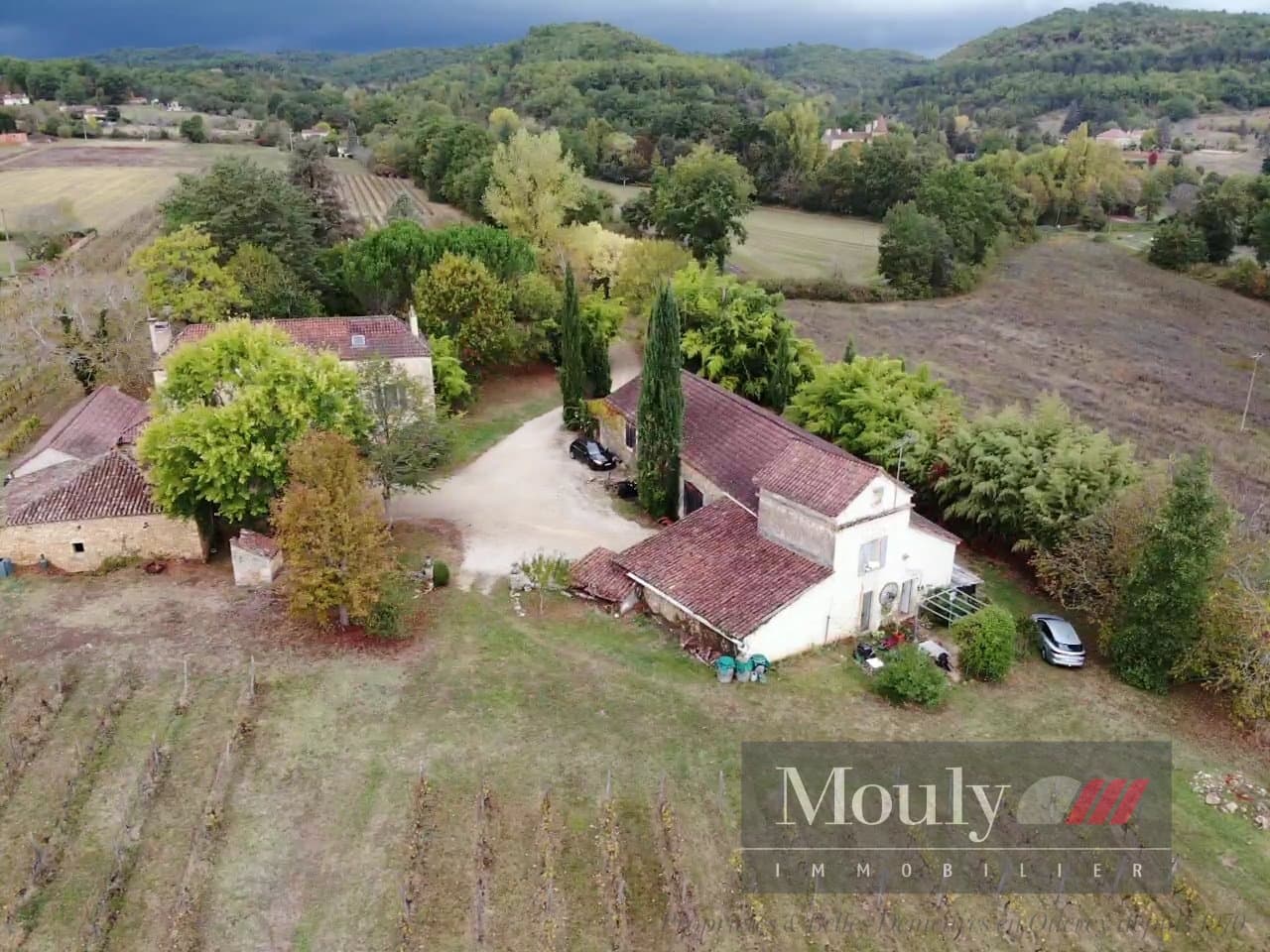 Charming Vineyard Property with Guest House and Extensive Agricultural Facilities 2