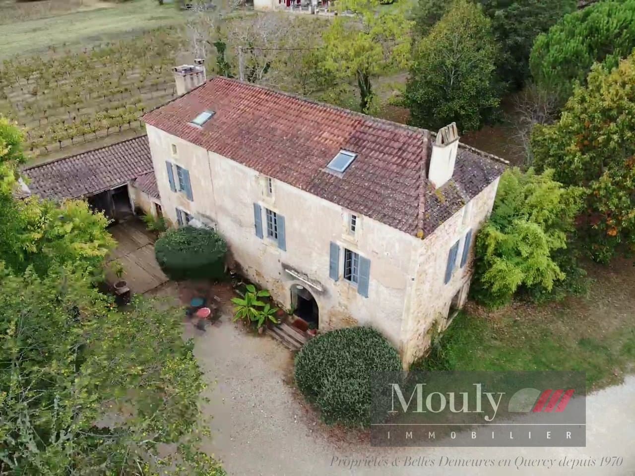 Charming Vineyard Property with Guest House and Extensive Agricultural Facilities 4