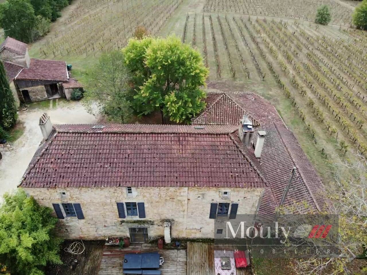 Charming Vineyard Property with Guest House and Extensive Agricultural Facilities 3