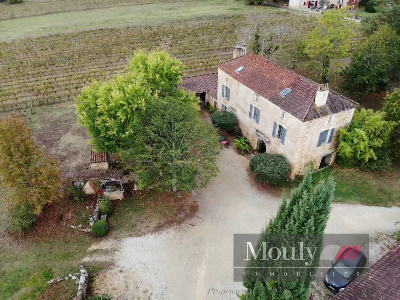 Charming Vineyard Property with Guest House and Extensive Agricultural Facilities 5