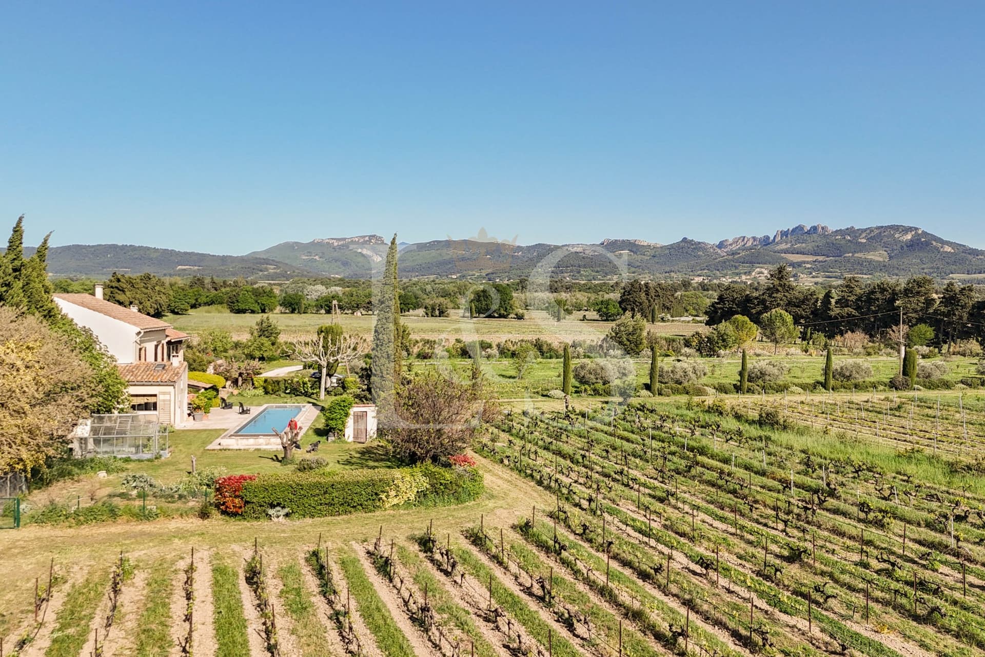 Charming Property With Vineyards, Pool, And Independent Cottage 3