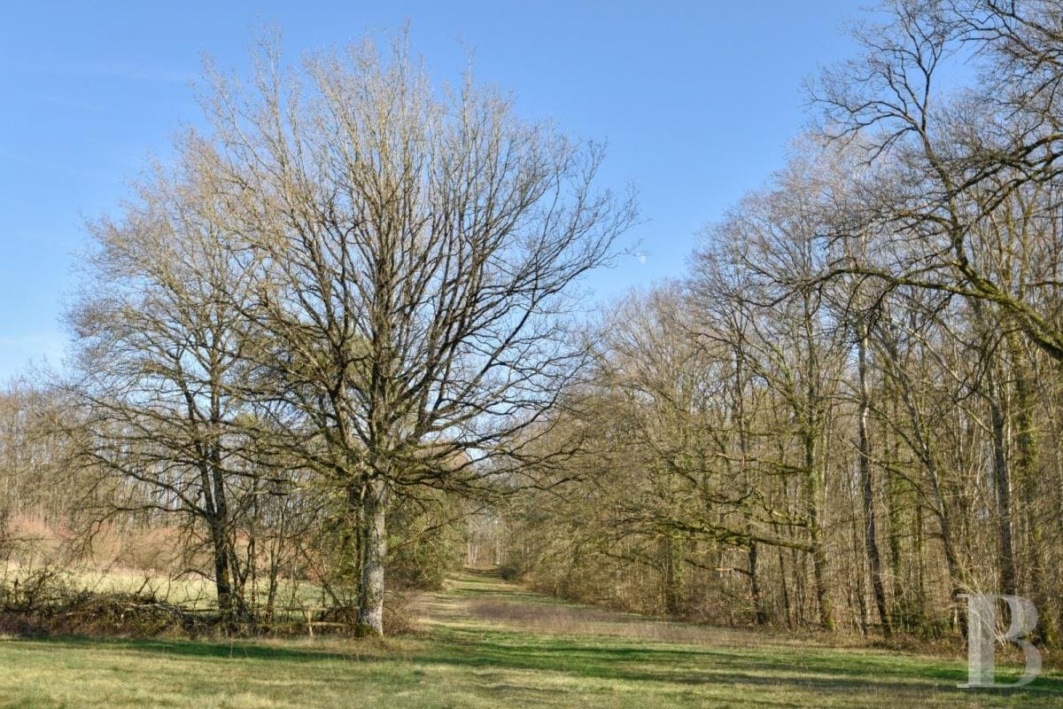 19th Century Château With Lake, Chapel, And Outhouses In 30 Hectares 5