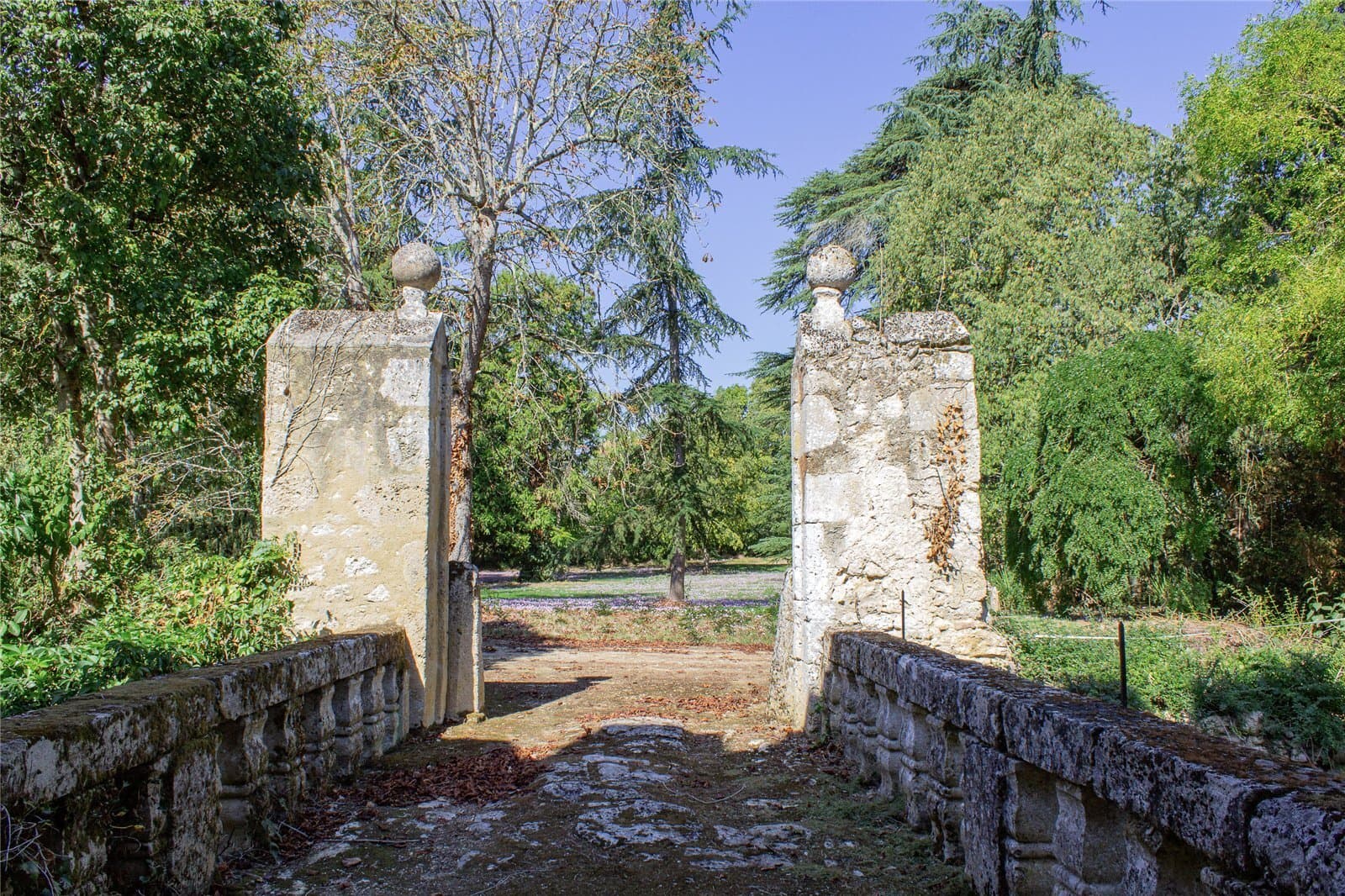 Historic Château Set Within 208 Hectares of Lush Parklands 3