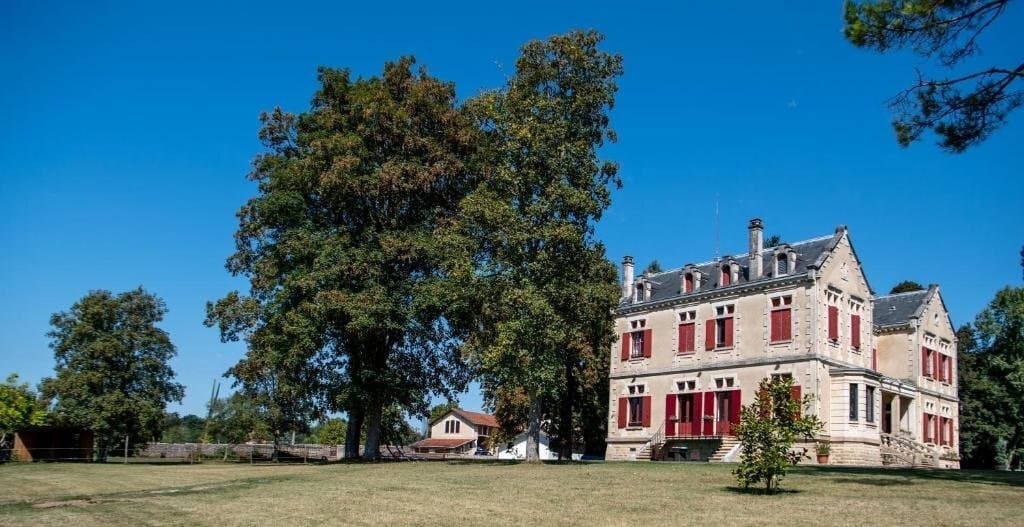Elegant 19th Century Château With Swimming Pool And Spacious Living Areas 4