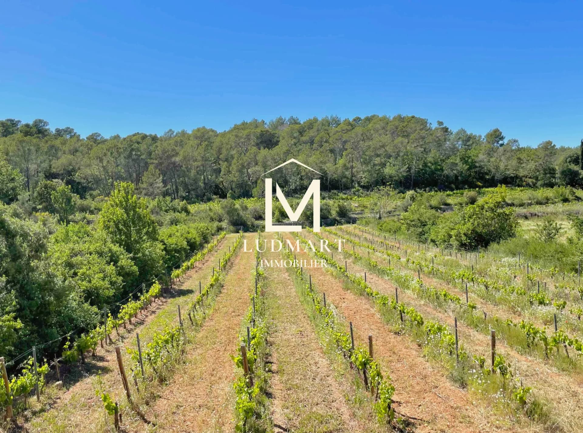 Charming Wine And Olive Oil Estate With 5 Bedrooms In Provence 3