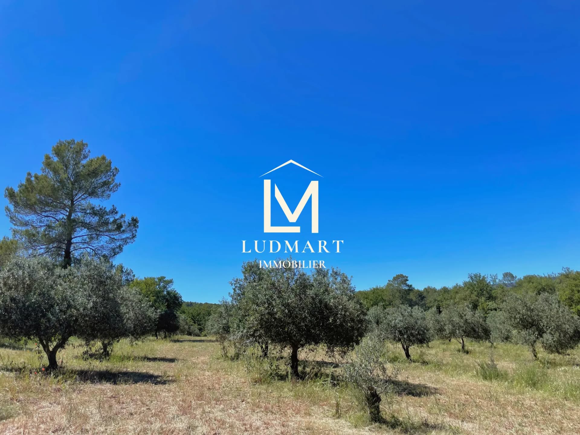 Charming Wine And Olive Oil Estate With 5 Bedrooms In Provence 5