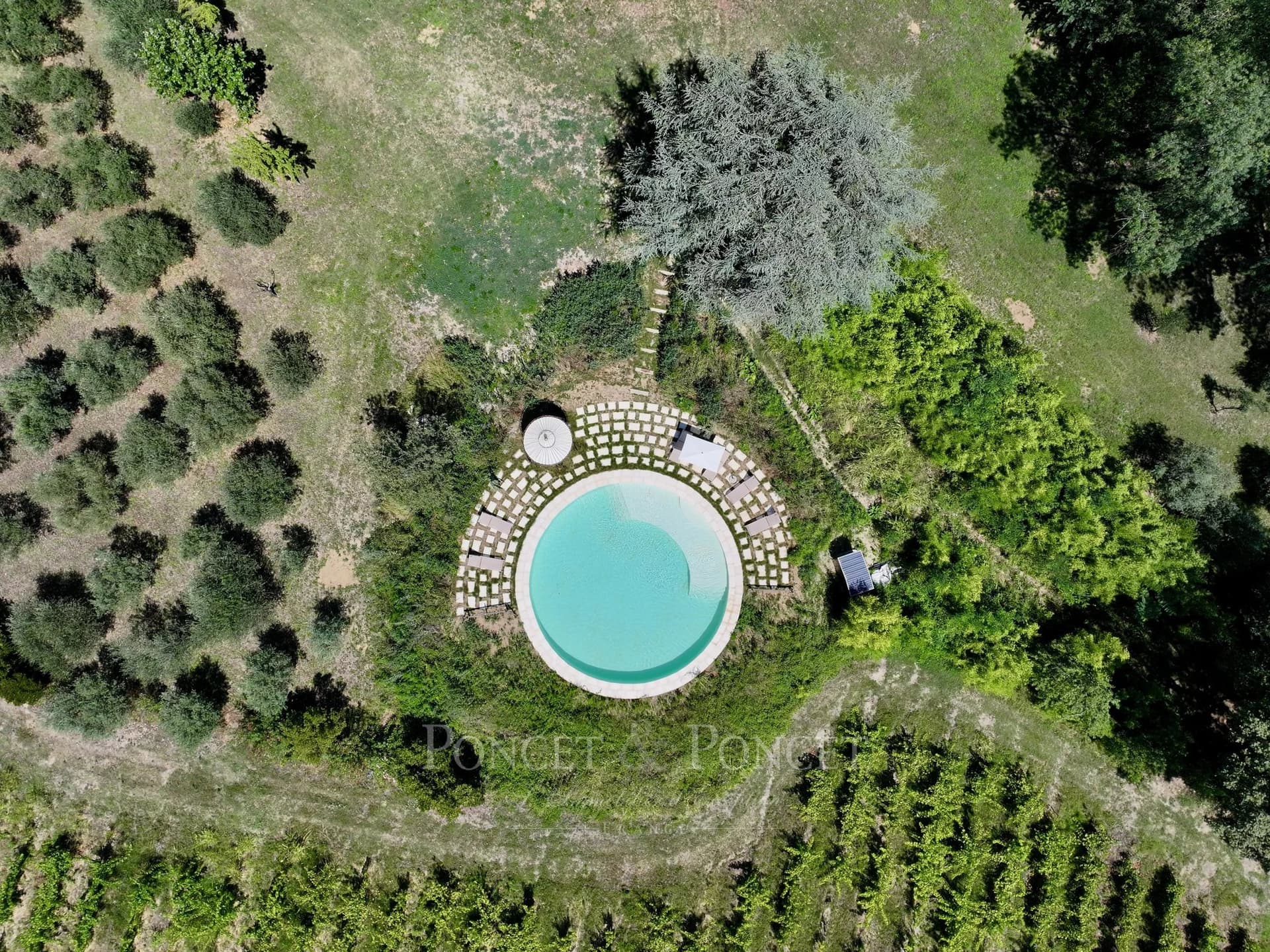 Historic 17th Century Château With Riverside Mill And Olive Groves 3