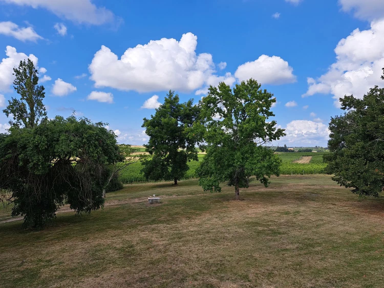 Charming 6-Bedroom Charterhouse Set On 1 Hectare 4