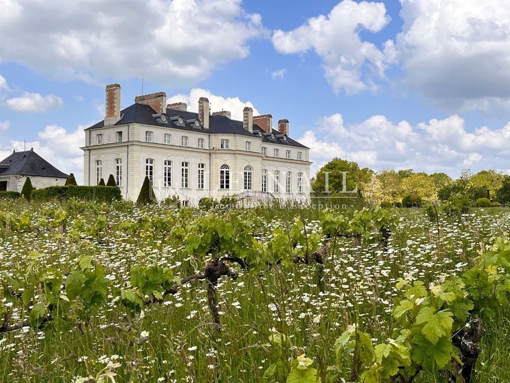 Elegant Château with Equestrian Facilities and Stunning River Views 5