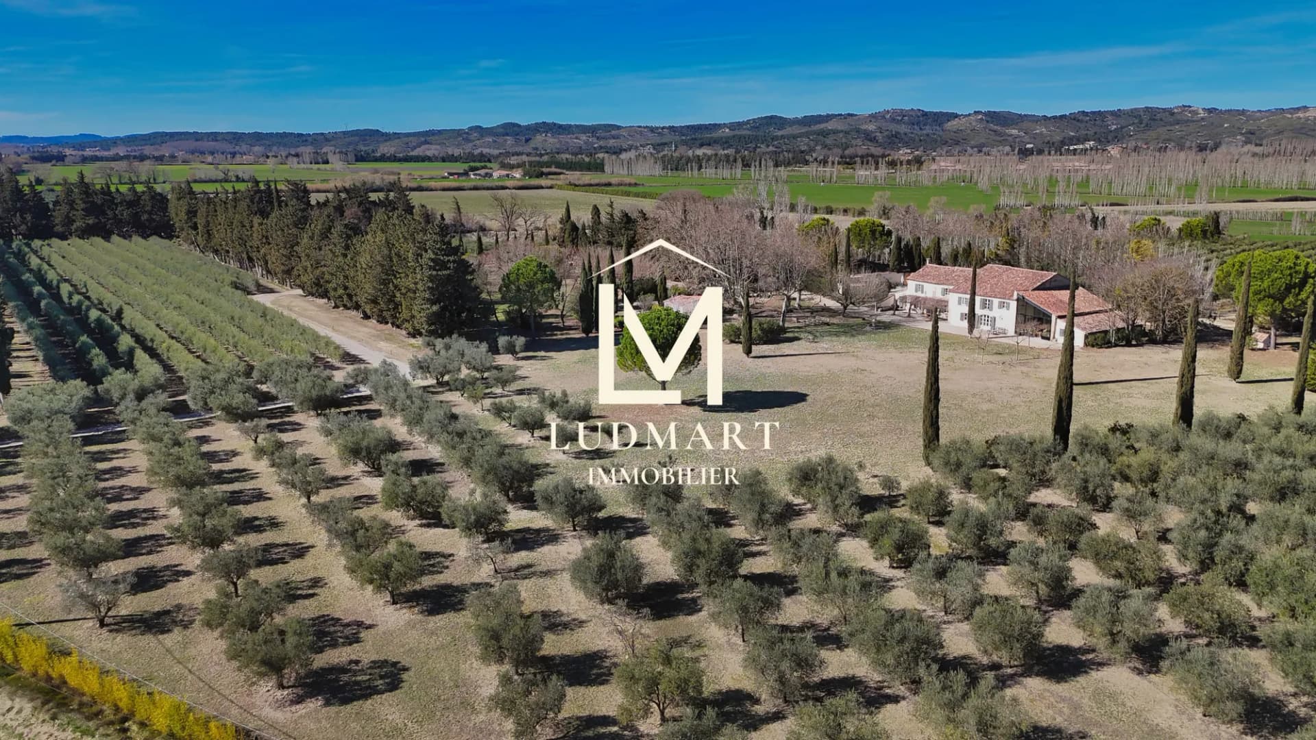 Charming Olive Oil Estate With Farmhouse And Pool Near Avignon 4