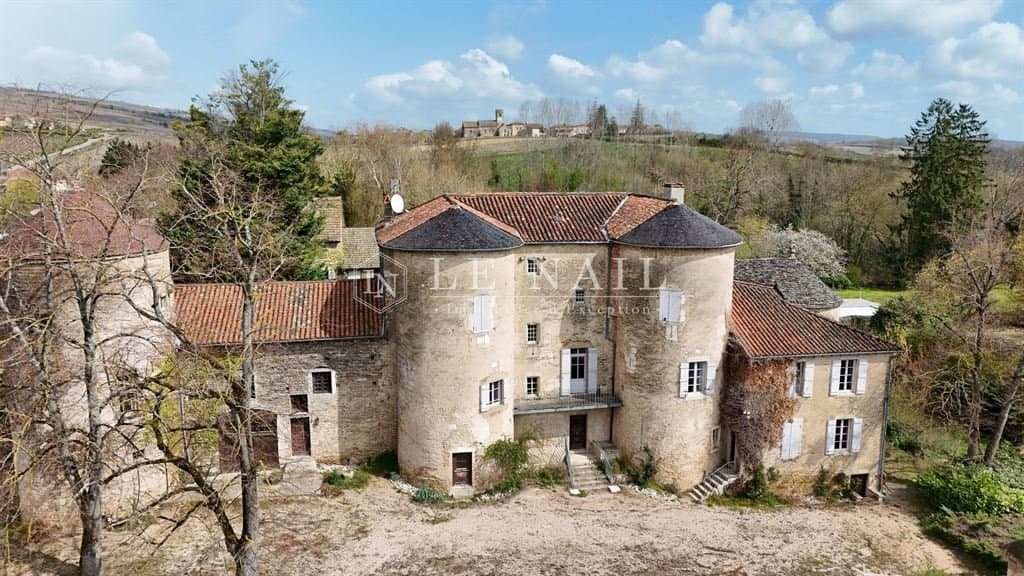 13th Century Château With Event Hosting Potential Near Mâcon 3