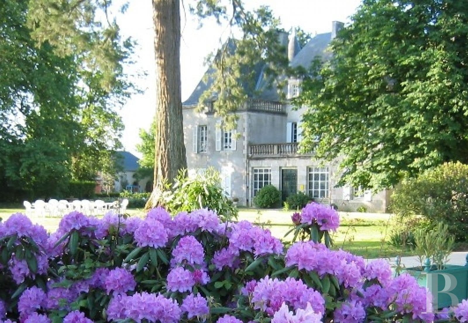Elegant 19th Century Château With Extensive Grounds And Two Swimming Pools 5