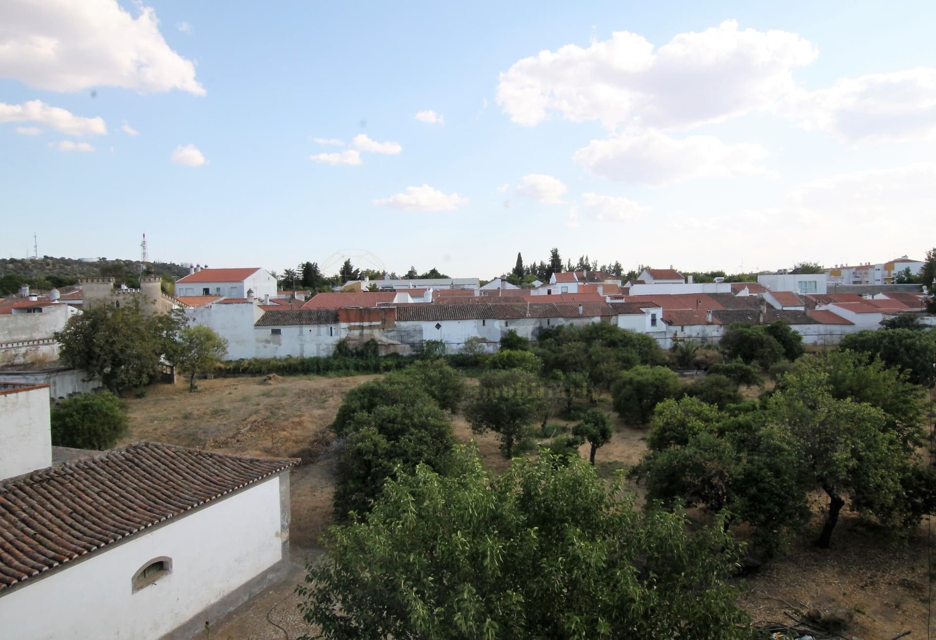 Elegant 9-Bedroom Château in Serpa, Portugal 4