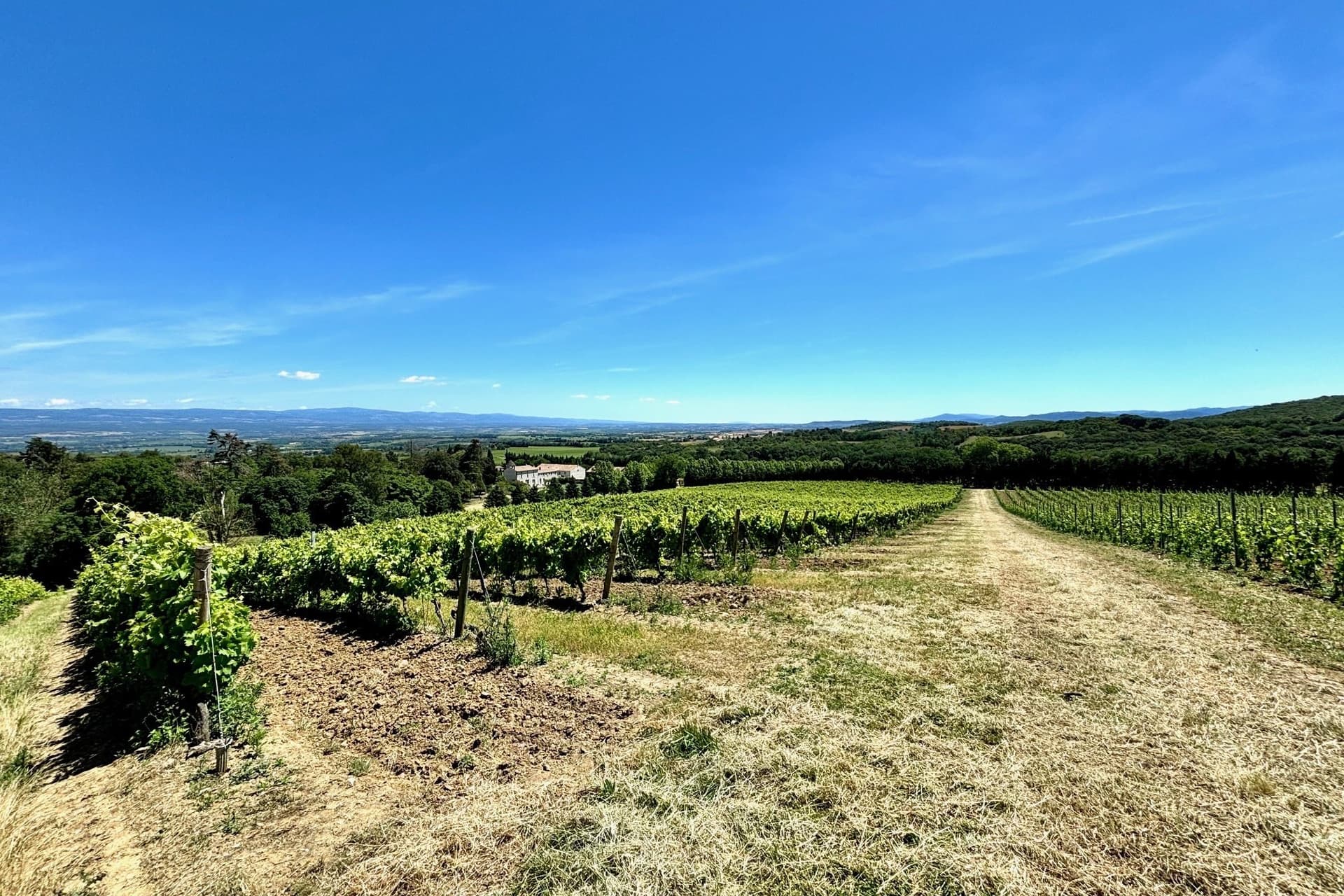 19th Century Château With Vineyards And Swimming Pool 3