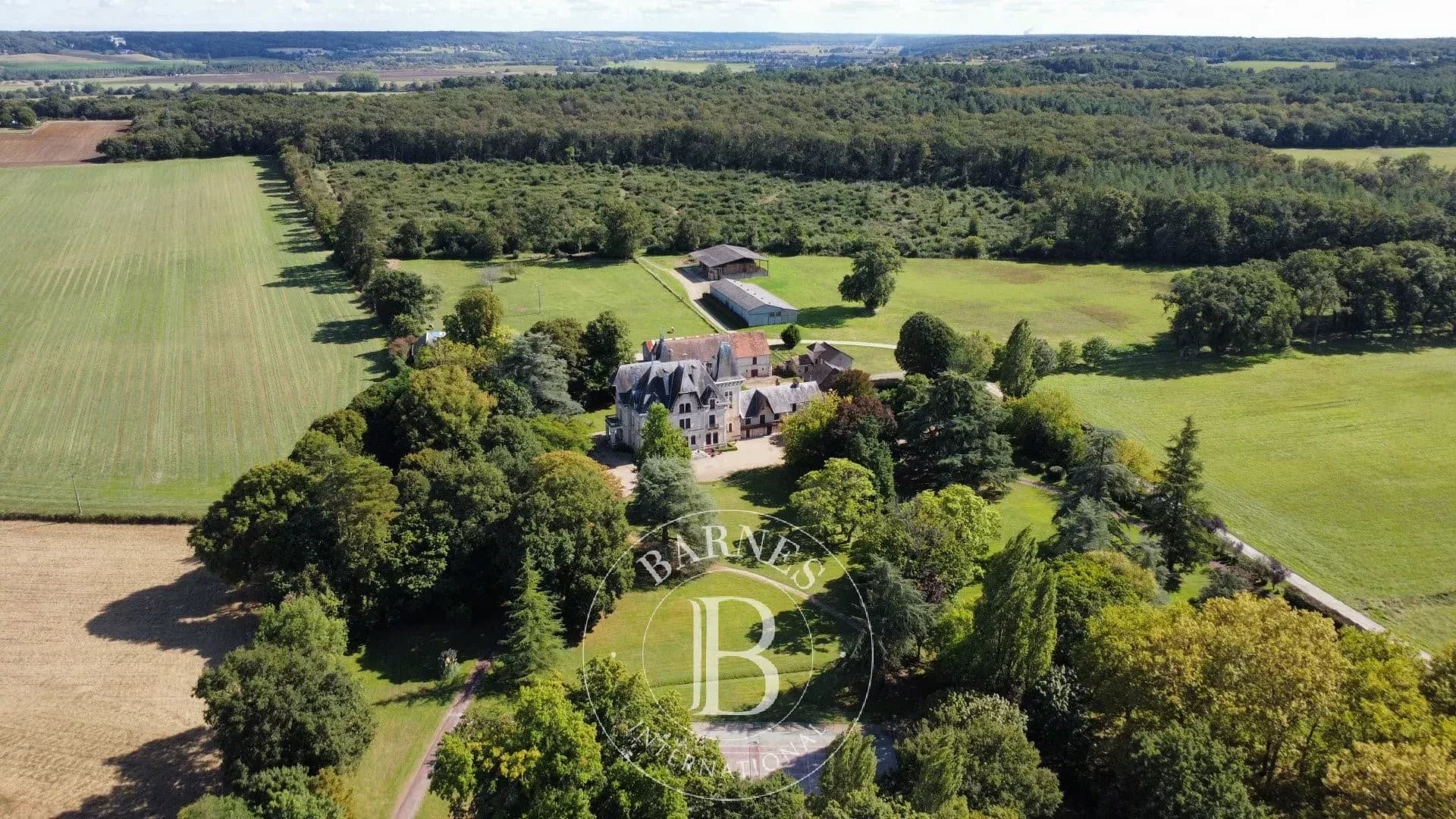 Exceptional 19th/20th Century Château With Extensive Grounds 4