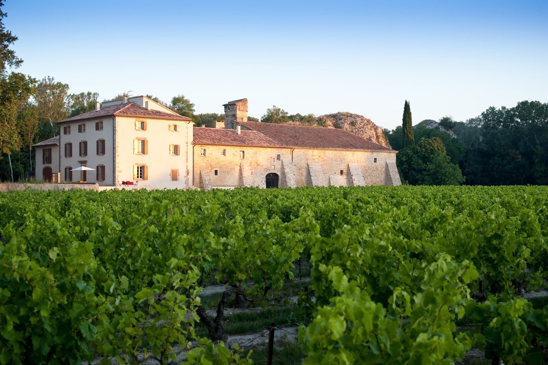 Historic Castle With Outbuildings And Vineyards Near Avignon 4
