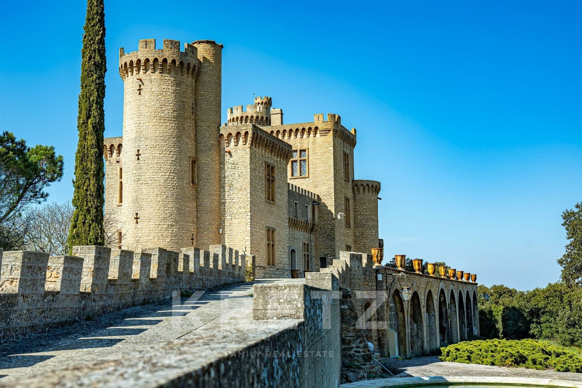 Exceptional 19th Century Castle Panoramic View And Swimming Pool — in Gard, France