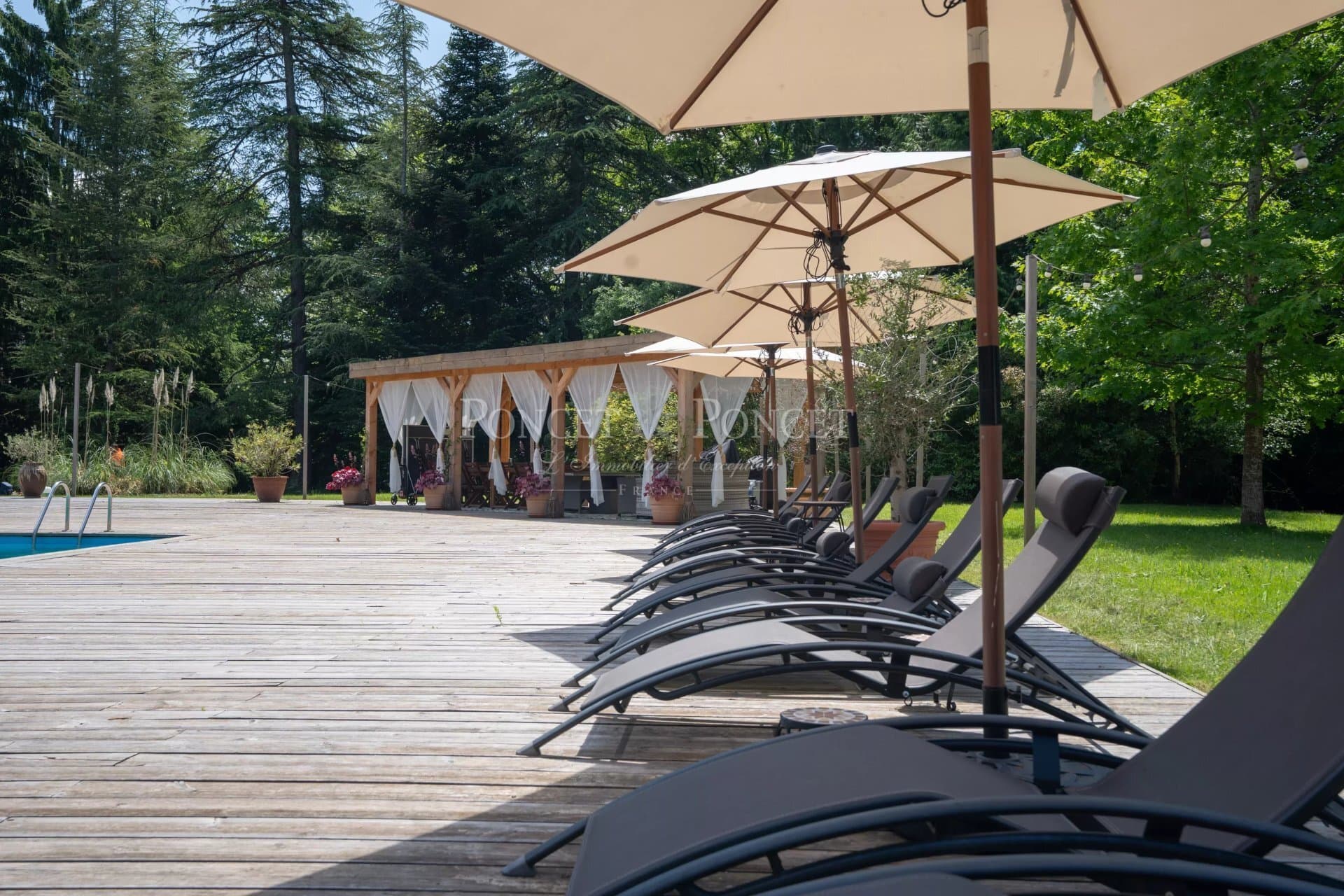 Exceptional 19th Century Château With 14 Bedrooms And 45 Hectares 4