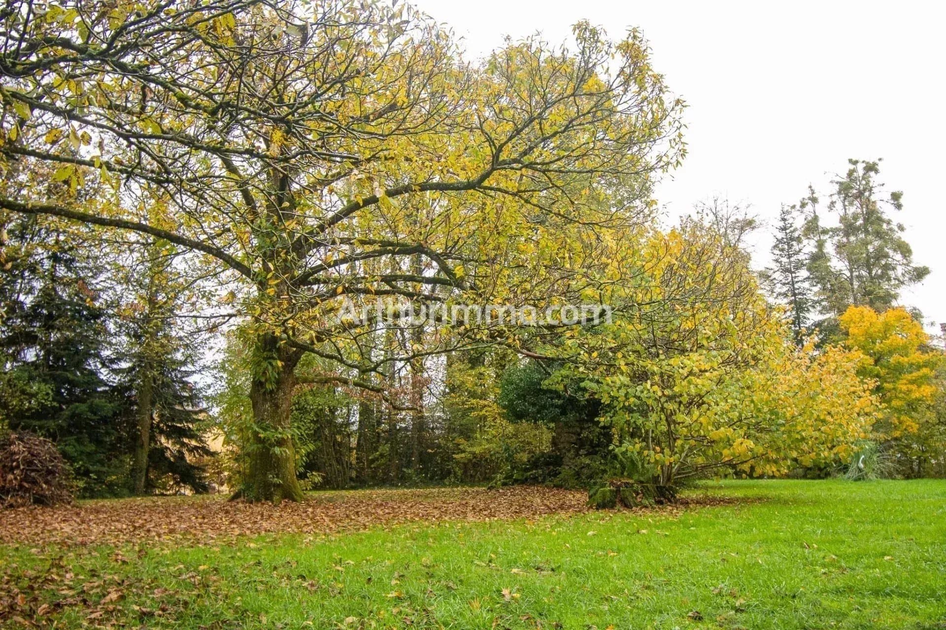 Historic Castle with 6 Bedrooms and Expansive Park 4