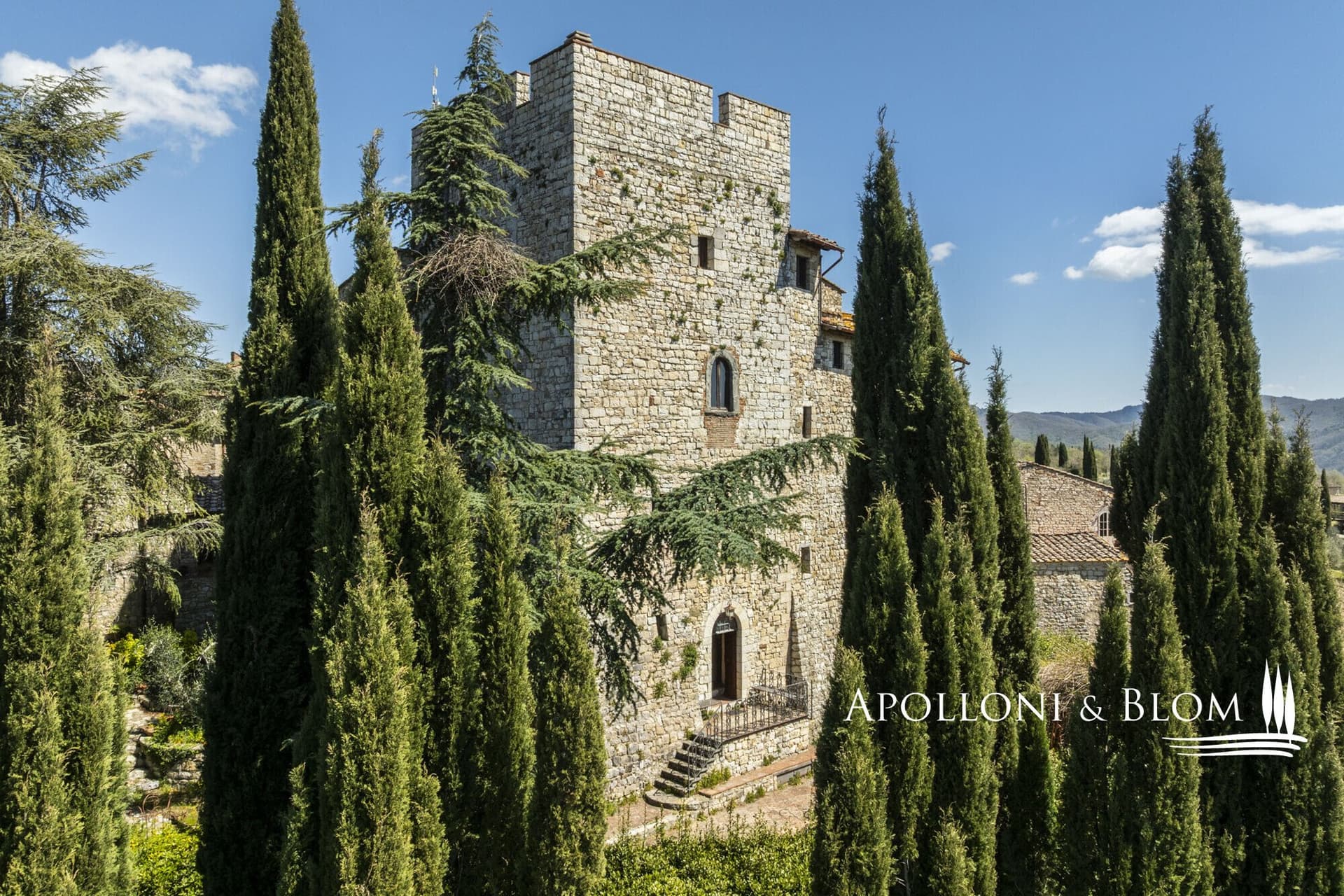Historic Castle With Tower, Guest Cottage, And Art Studio In Chianti — in Siena, Italy