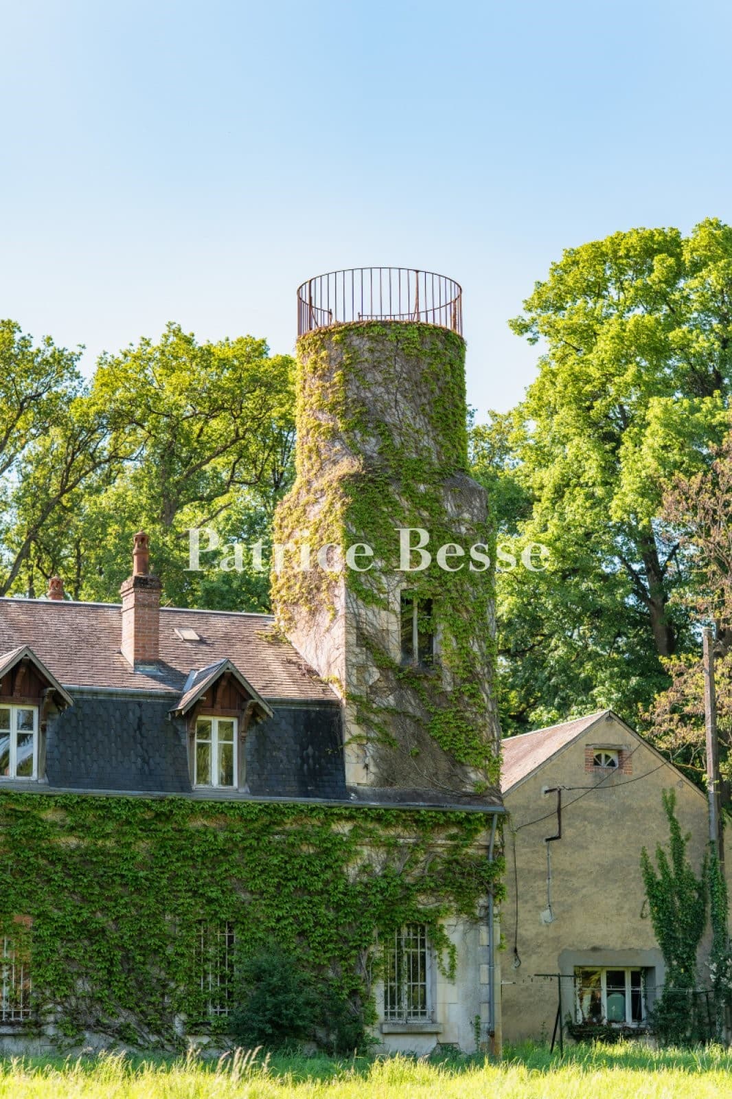 Castle 650 Sqm 8 Bedrooms 5