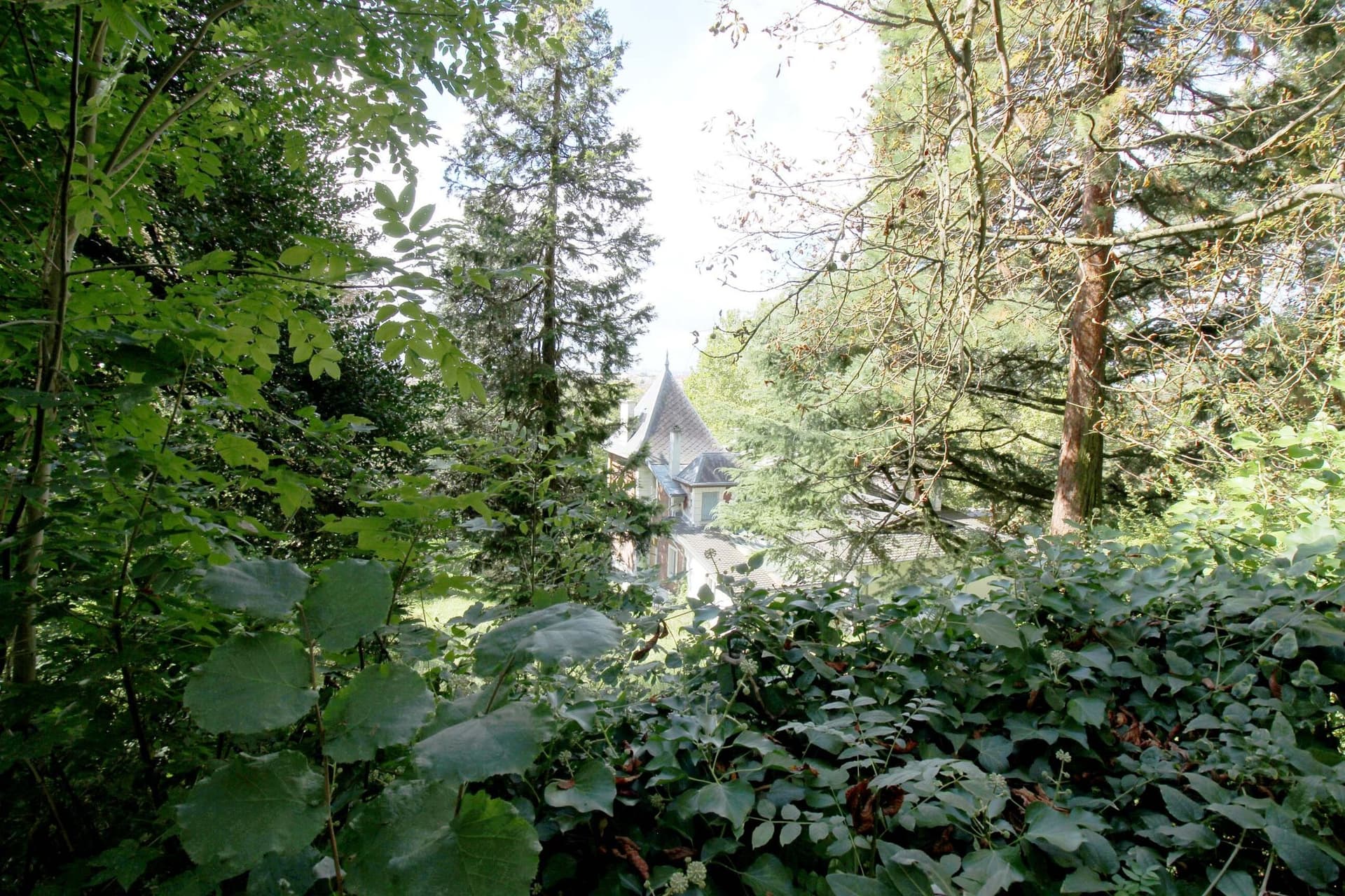 Elegant Château with Panoramic Views and Spacious Grounds 4