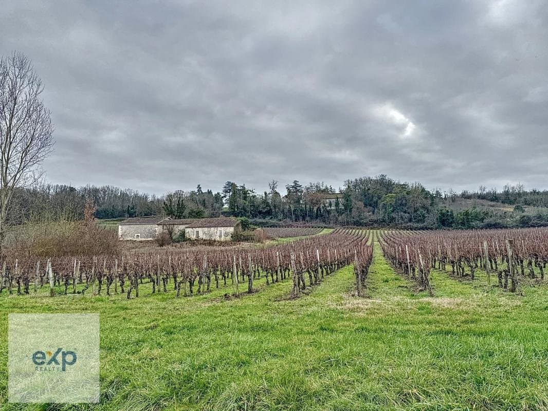 Château Lalene: A Family Heritage Wine Estate Spanning 50 Hectares 2