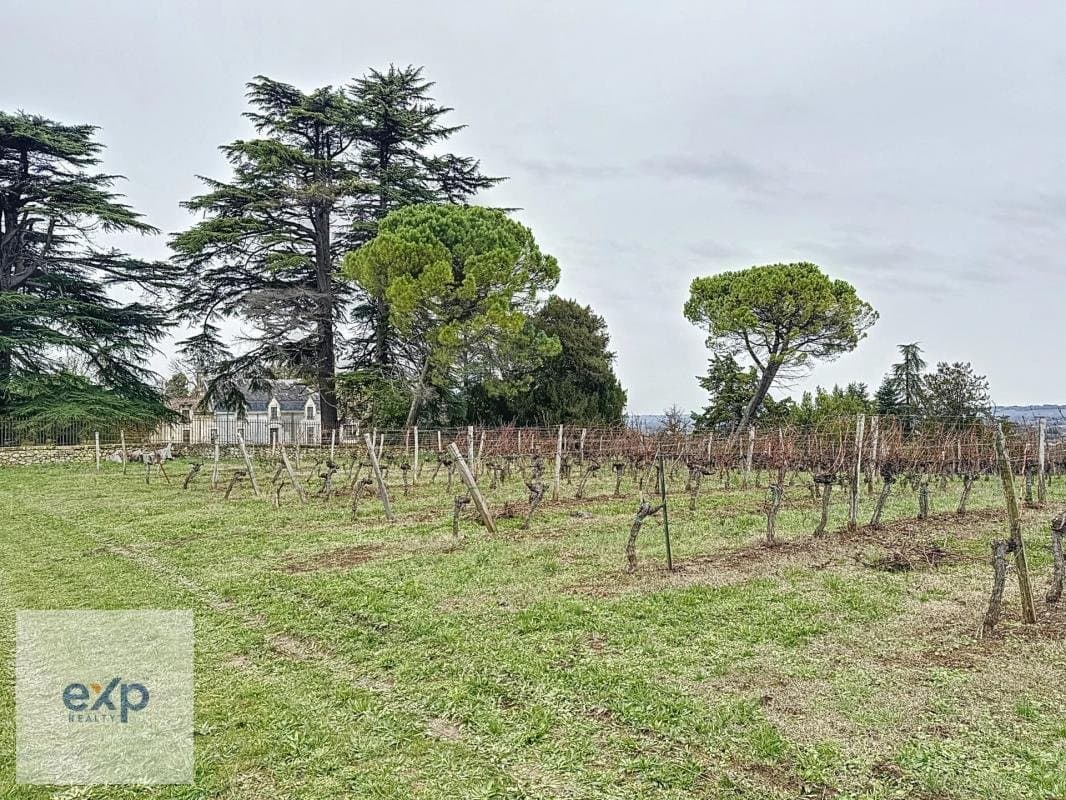 Château Lalene: A Family Heritage Wine Estate Spanning 50 Hectares 5