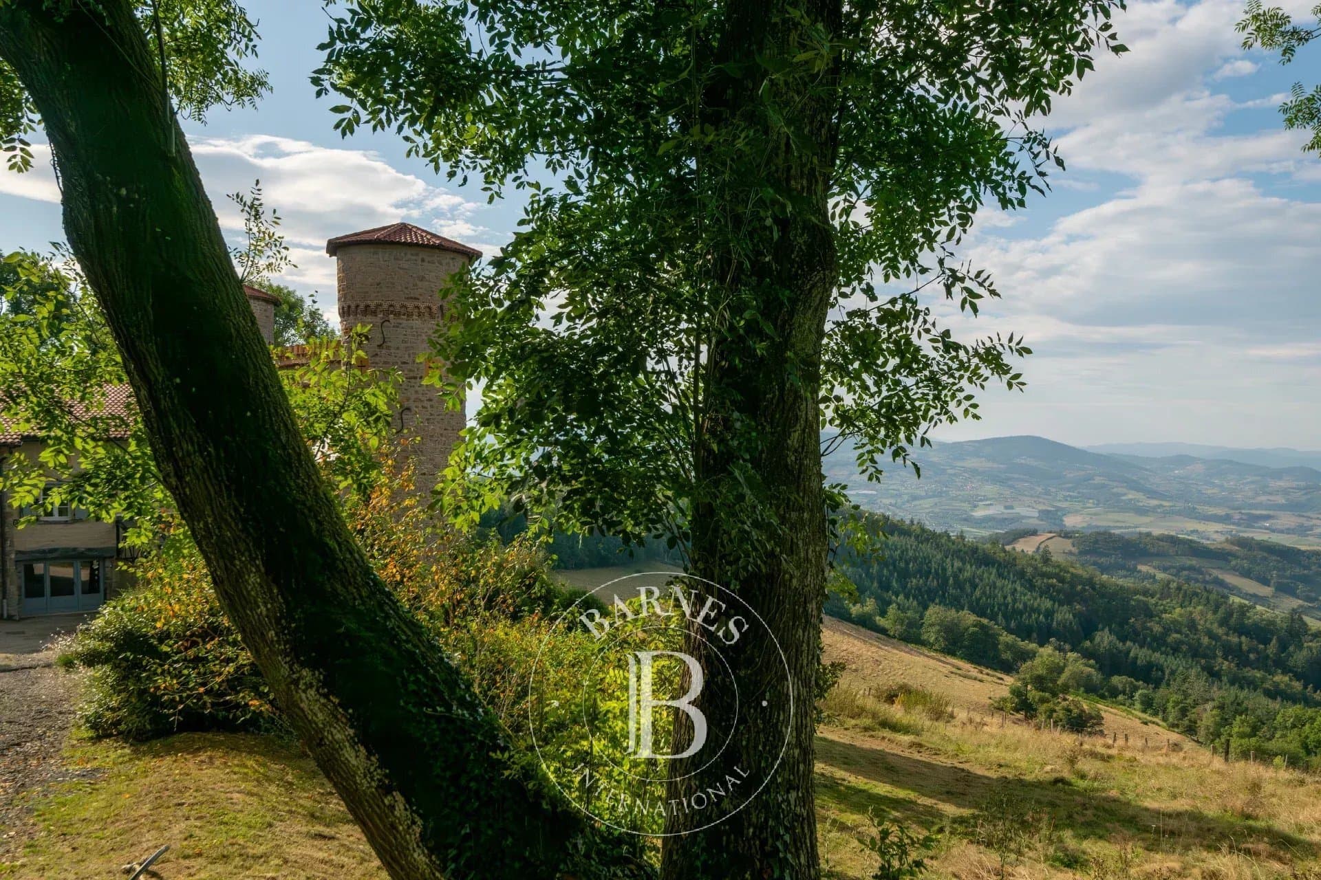 Château With 5 Bedrooms, Gîtes, Barn, Swimming Pool And Panoramic Views 5