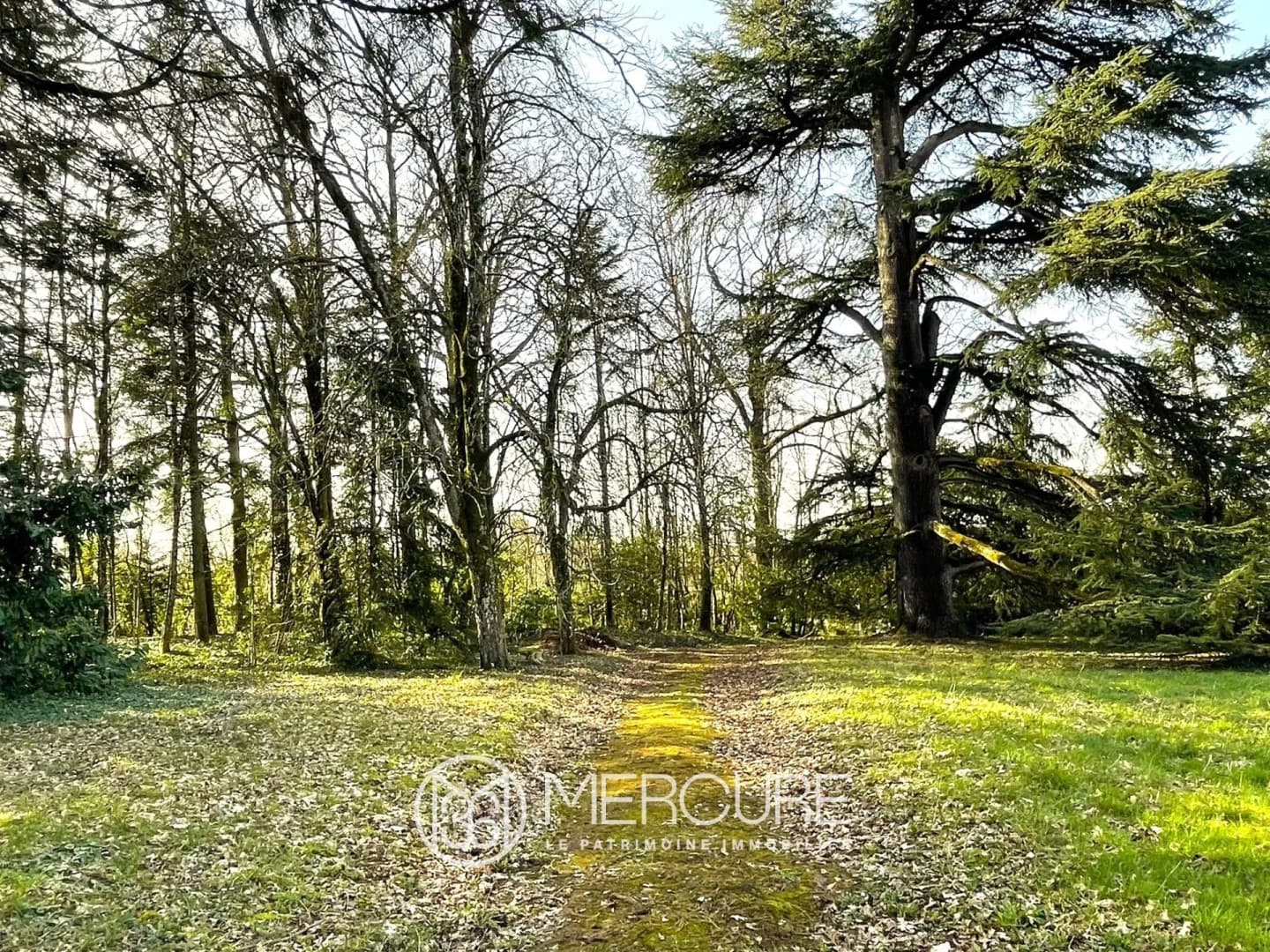 Château with Caretaker's House and Expansive Grounds 3