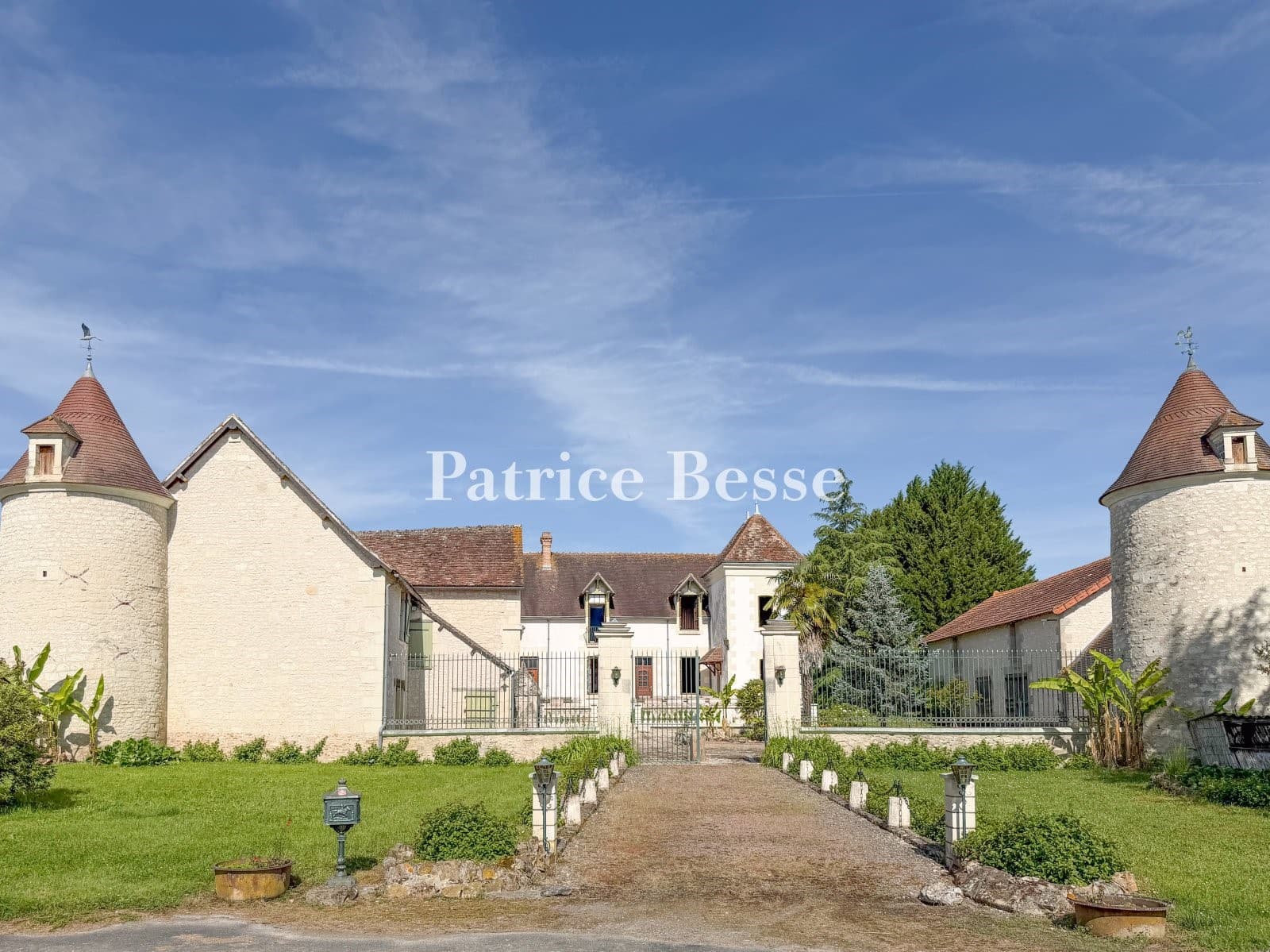 Castle 271 Sqm 8 Bedrooms — in Vienne, Centre-Val de Loire
