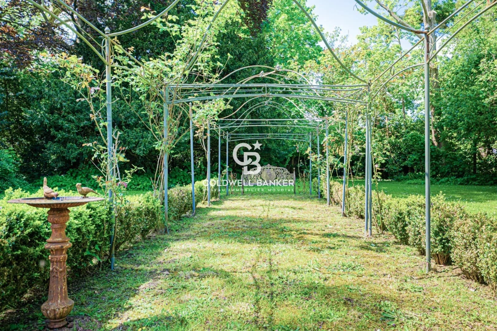 Elegant 19th Century Château With Swimming Pool And Wooded Grounds 3