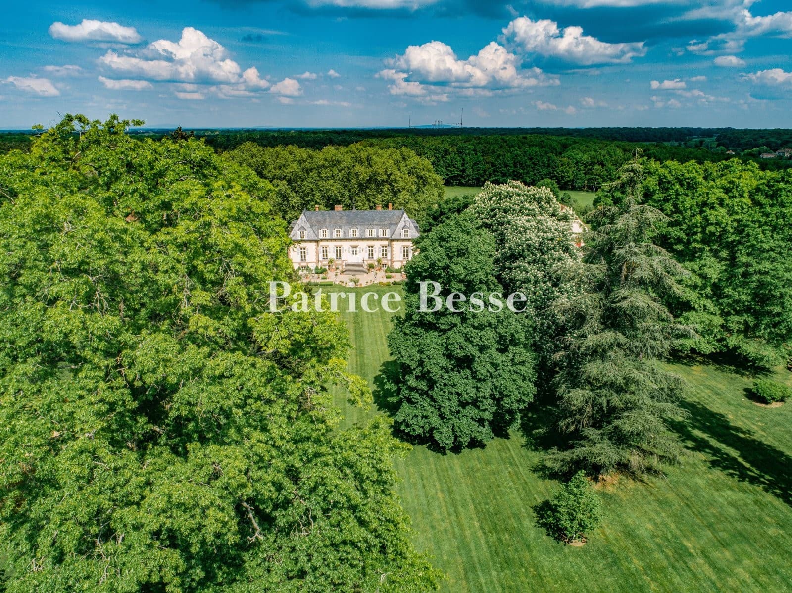 Exceptional Castle Estate with Hunting Grounds and Renovated Buildings 2