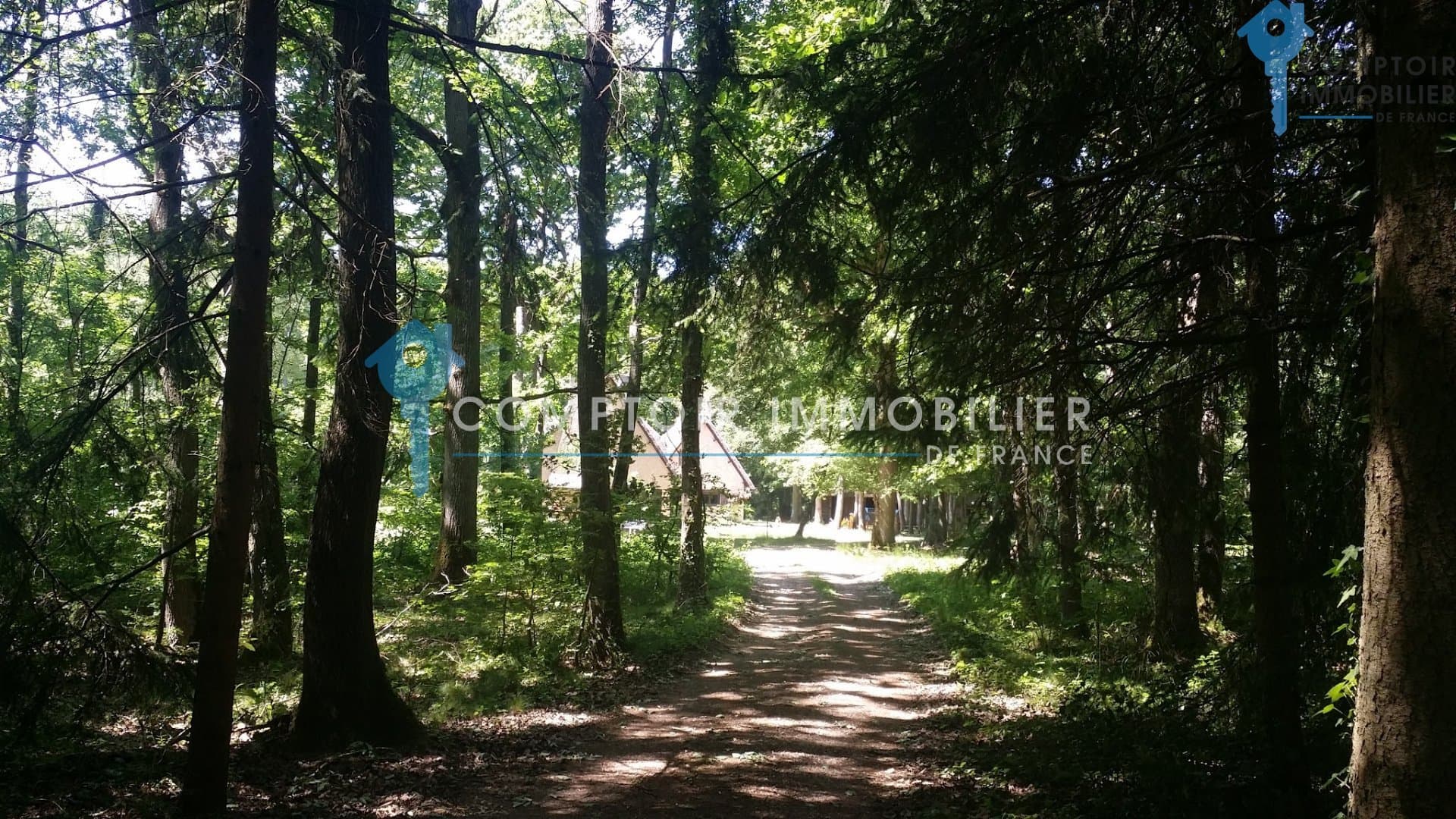 Charming Property With Two Dwellings Set On 4.5 Hectares Of Wooded Land 2