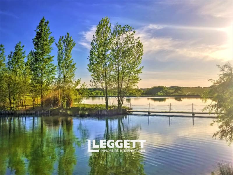 Stunning Estate with Lakeside Houses and Mountain Views 5