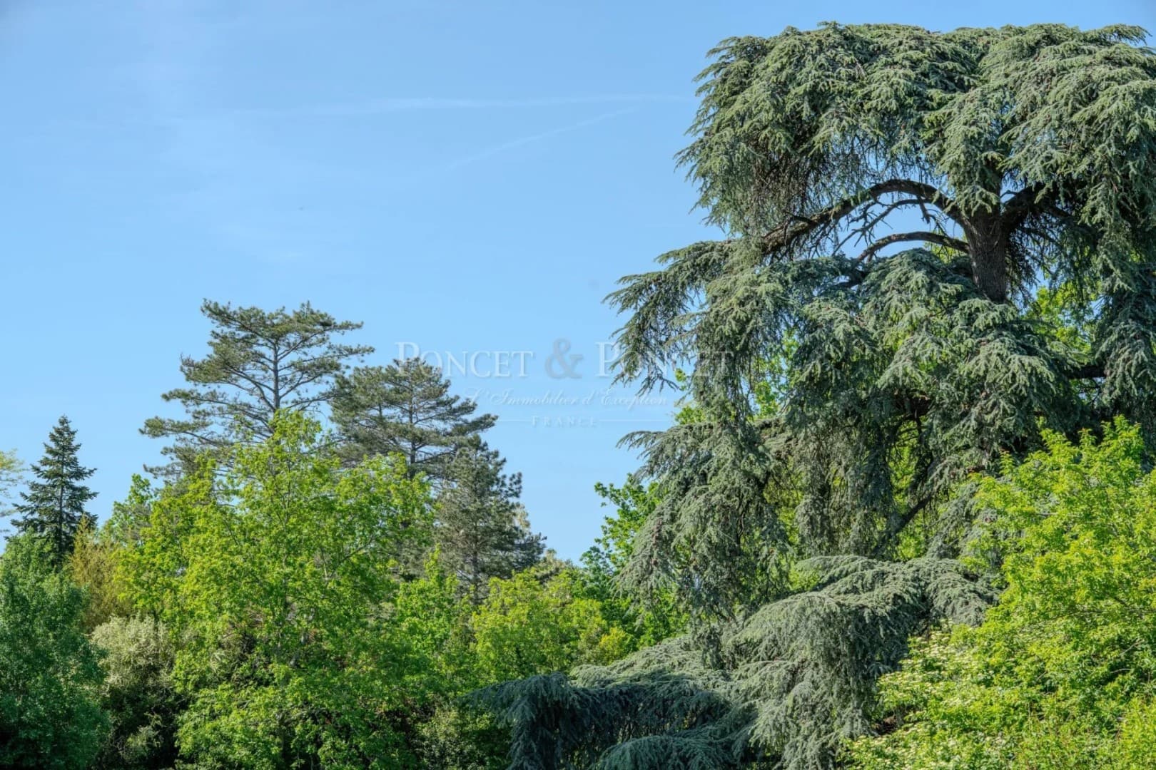 Elegant 19th Century Château With Swimming Pool And Scenic Views 5