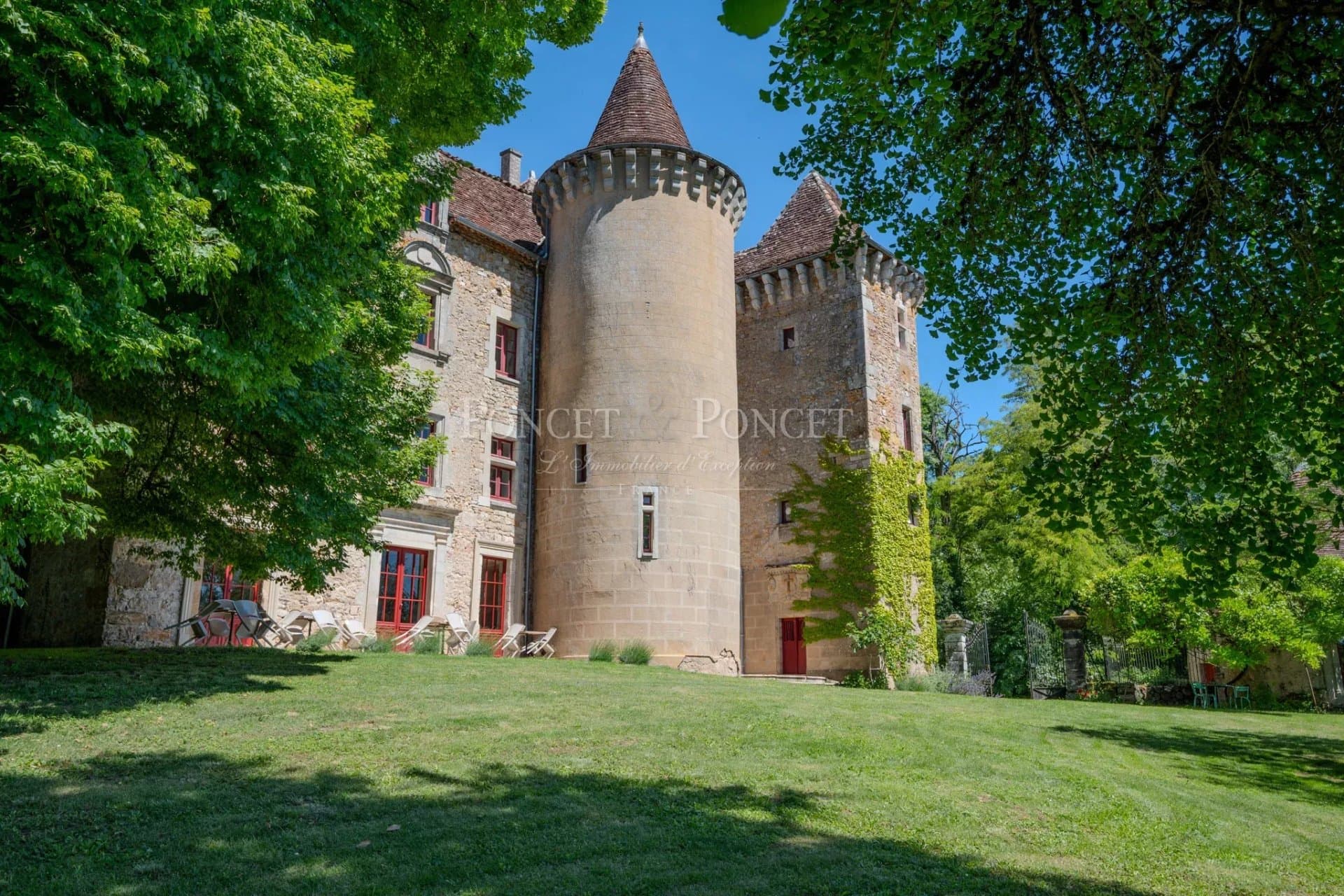 Elegant Renaissance Château with 18 Bedrooms and Swimming Pool 3