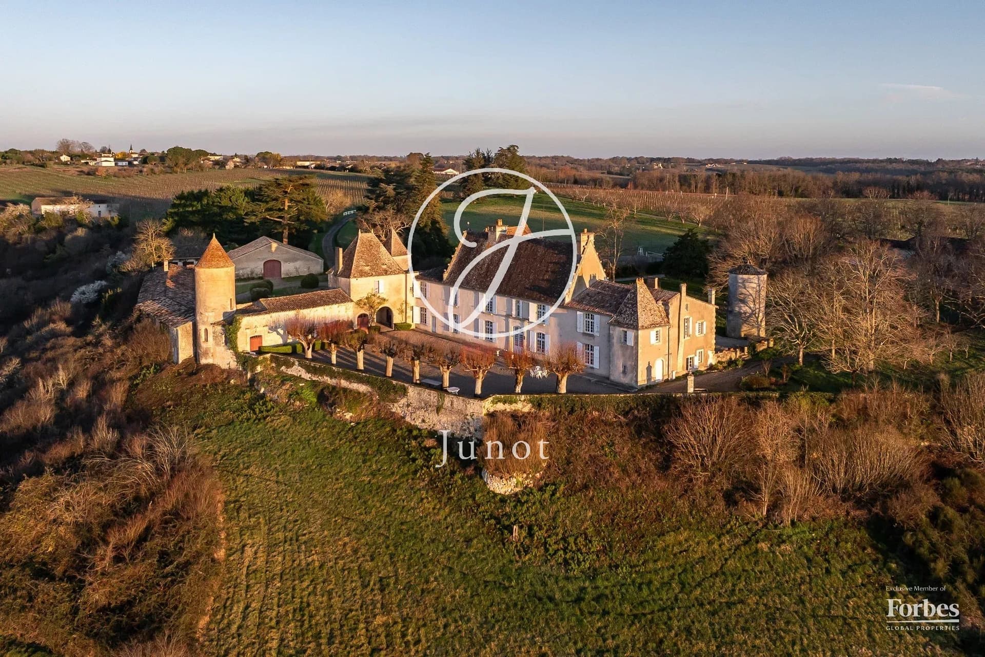 Historic Château With Vineyard And Swimming Pool Near Saint-Émilion 2
