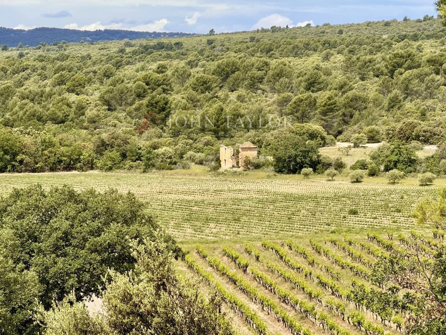 Majestic 18th Century Château Surrounded By Lavender Fields And Vineyards 4